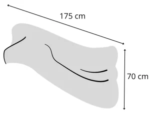 mesures foulard chiffon